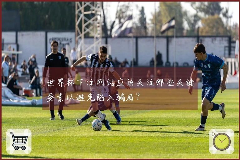 世界杯下注网站应该关注哪些关键要素以避免陷入骗局？