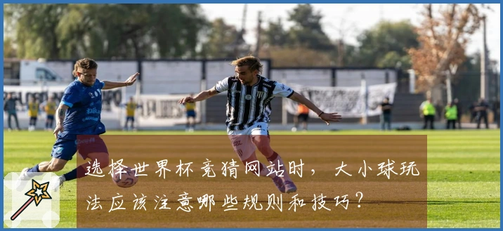 选择世界杯竞猜网站时，大小球玩法应该注意哪些规则和技巧？