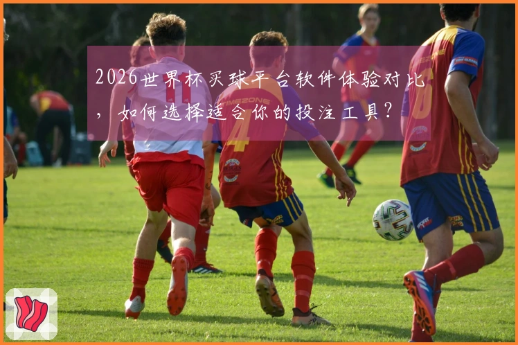 2026世界杯买球平台软件体验对比，如何选择适合你的投注工具？