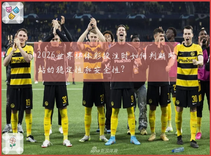 2026世界杯体彩投注时如何判断网站的稳定性和安全性？