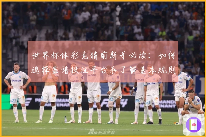 世界杯体彩竞猜前新手必读：如何选择靠谱投注平台和了解基本规则