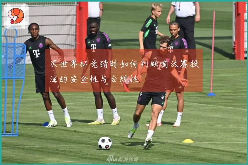 买世界杯竞猜时如何判断淘汰赛投注的安全性与合规性
