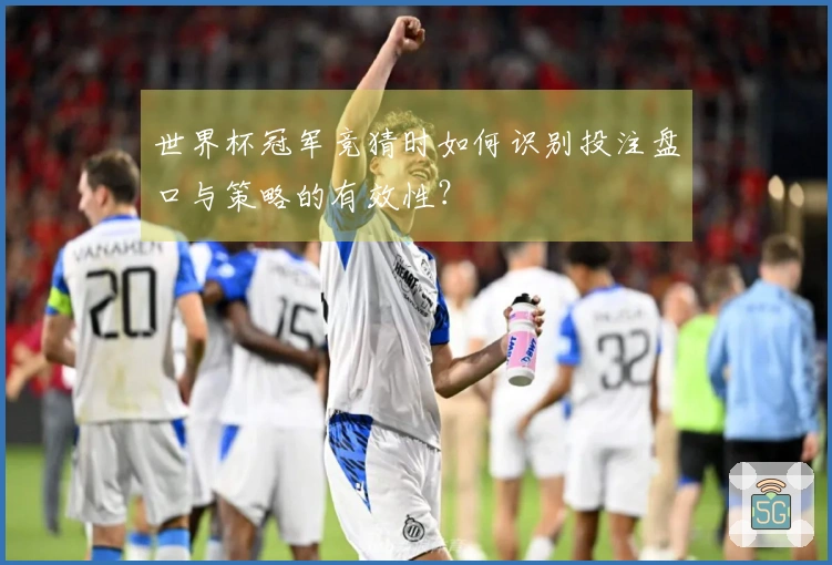 世界杯冠军竞猜时如何识别投注盘口与策略的有效性？