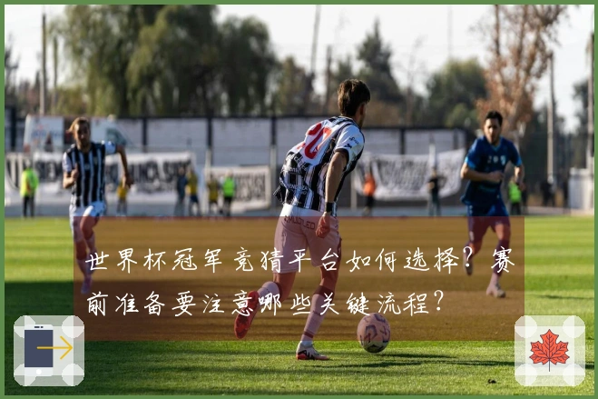世界杯冠军竞猜平台如何选择？赛前准备要注意哪些关键流程？