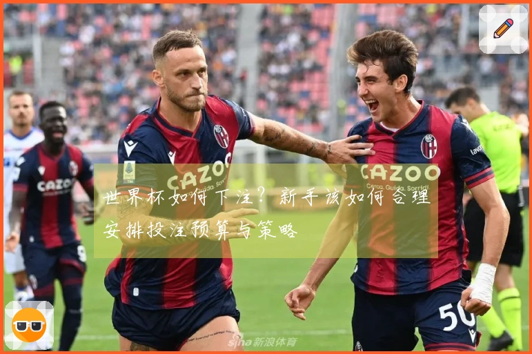 世界杯如何下注？新手该如何合理安排投注预算与策略