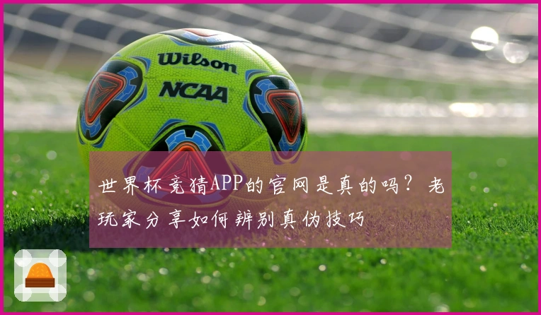 世界杯竞猜APP的官网是真的吗？老玩家分享如何辨别真伪技巧