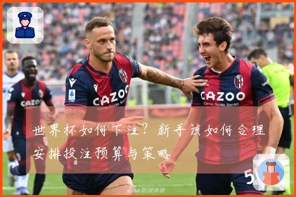 世界杯如何下注?新手该如何合理安排投注预算与策略