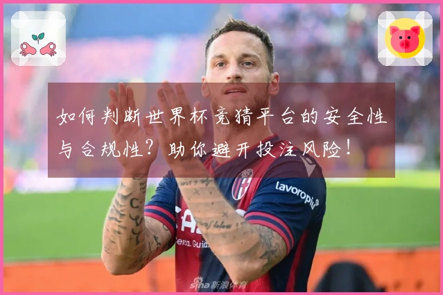 如何判断世界杯竞猜平台的安全性与合规性？助你避开投注风险！