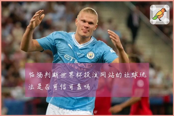 临场判断世界杯投注网站的让球玩法是否可信可靠吗