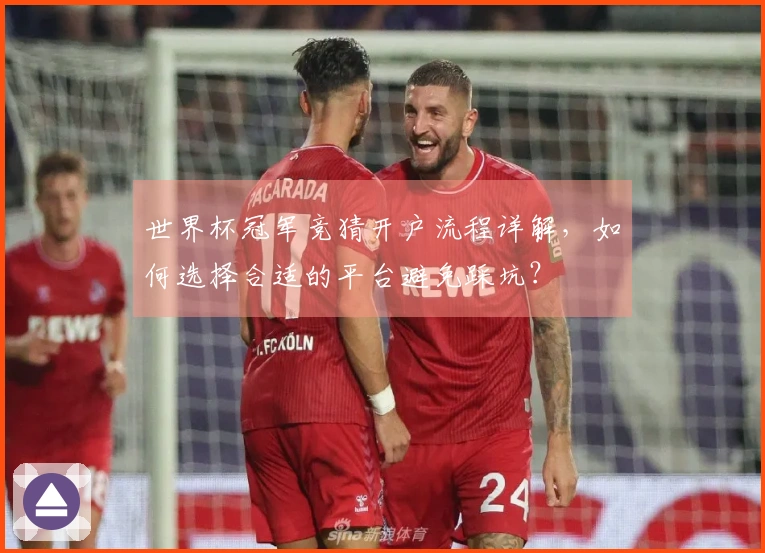 世界杯冠军竞猜开户流程详解,如何选择合适的平台避免踩坑?