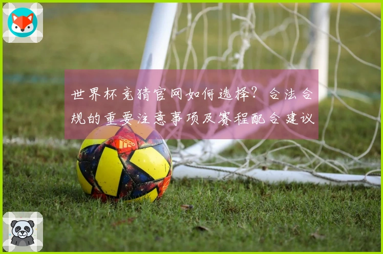 世界杯竞猜官网如何选择？合法合规的重要注意事项及赛程配合建议