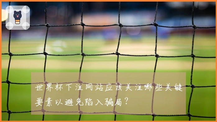 世界杯下注网站应该关注哪些关键要素以避免陷入骗局?