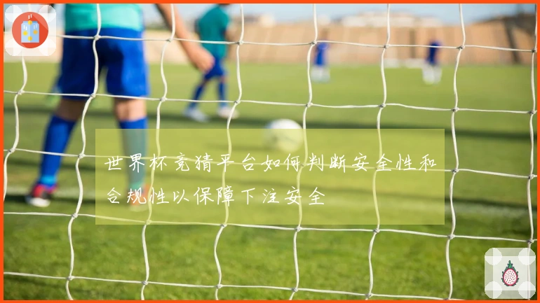 世界杯竞猜平台如何判断安全性和合规性以保障下注安全