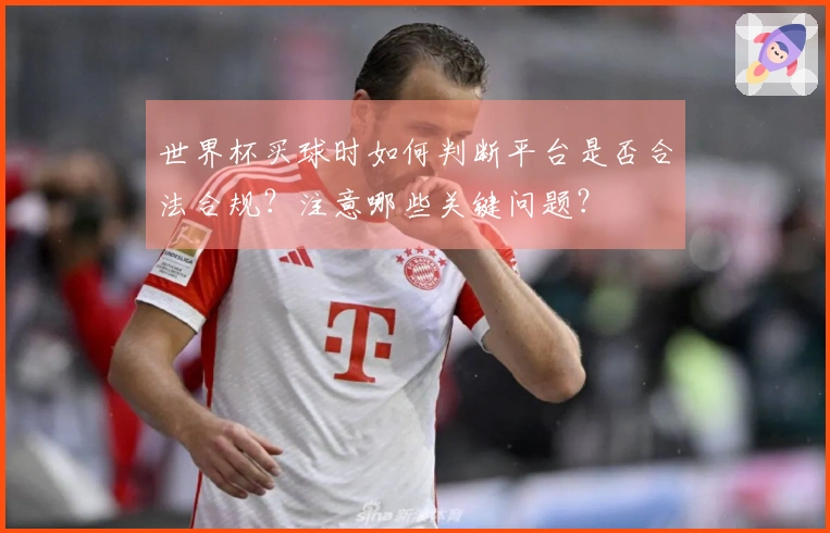 世界杯买球时如何判断平台是否合法合规？注意哪些关键问题？