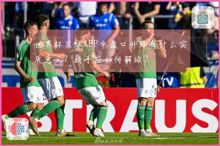 世界杯买球APP中盘口升降有什么实质意义？新手应如何解读？