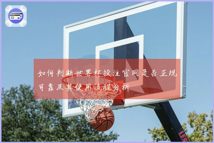 如何判断世界杯投注官网是否正规可靠及其使用流程分析