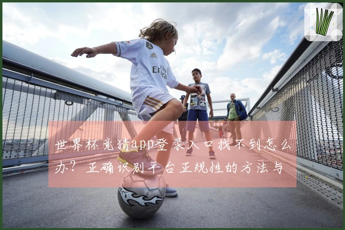 世界杯竞猜app登录入口找不到怎么办？正确识别平台正规性的方法与注意事项