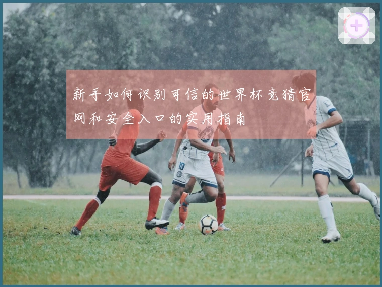 新手如何识别可信的世界杯竞猜官网和安全入口的实用指南