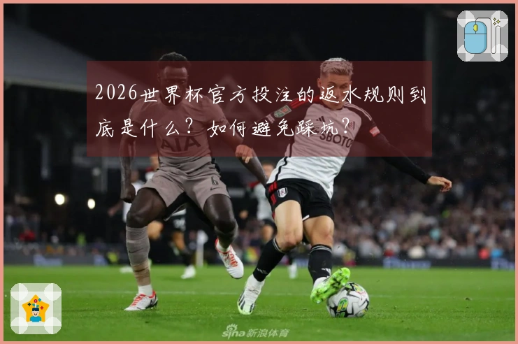 2026世界杯官方投注的返水规则到底是什么?如何避免踩坑?