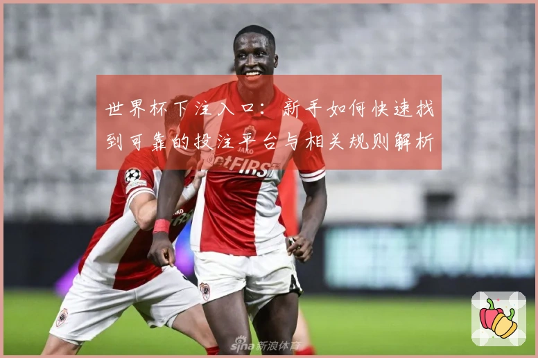 世界杯下注入口：新手如何快速找到可靠的投注平台与相关规则解析