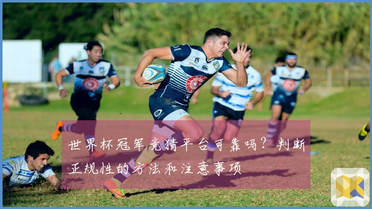 世界杯冠军竞猜平台可靠吗？判断正规性的方法和注意事项