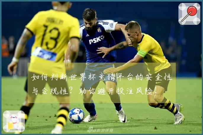 如何判断世界杯竞猜平台的安全性与合规性?助你避开投注风险!
