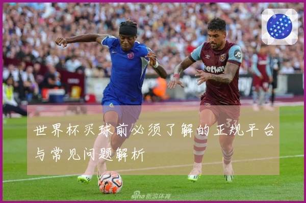 世界杯买球前必须了解的正规平台与常见问题解析