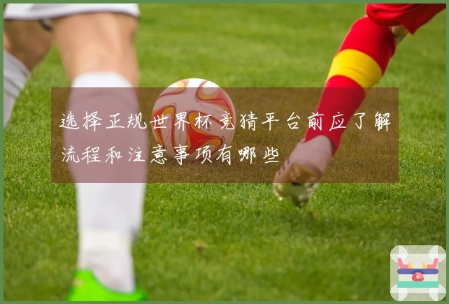选择正规世界杯竞猜平台前应了解流程和注意事项有哪些