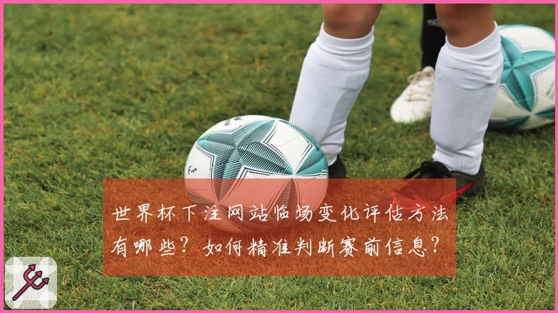 世界杯下注网站临场变化评估方法有哪些？如何精准判断赛前信息？